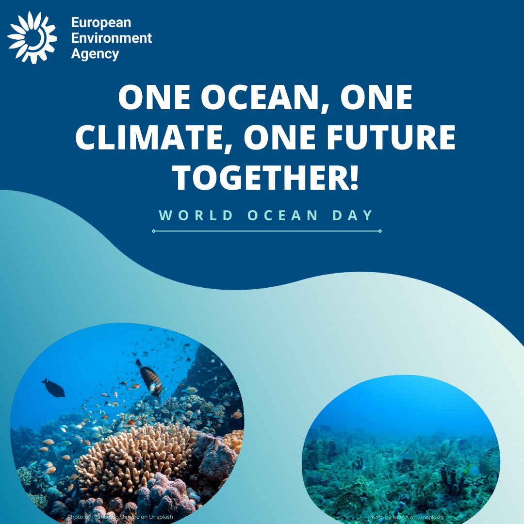 EUEnvironment's tweet image. Happy #WorldOceanDay! Do you know how climate change is impacting Europe's seas?🌊

Rising CO2 levels, rising global temperatures, and lower oxygen are all part of the 'deadly trio' affecting marine biodiversity.
👉#EEAtopic on seas and coasts: eu1.hubs.ly/H09yjhZ0