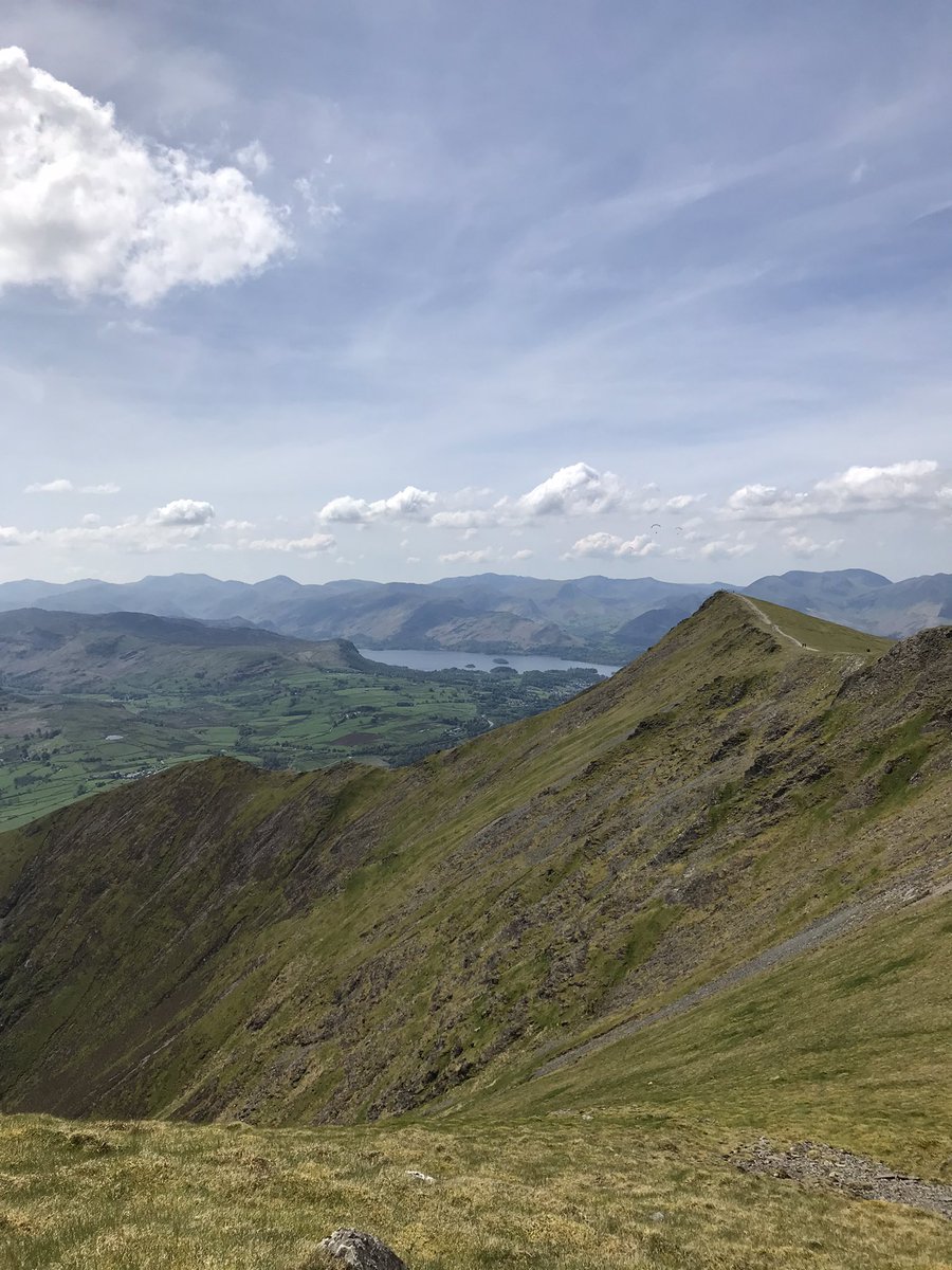 Luci Napleton tweet media