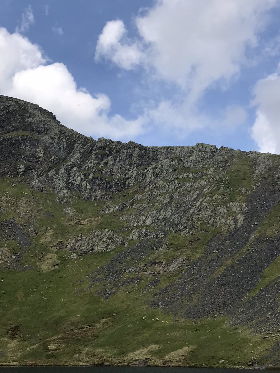 Luci Napleton tweet media