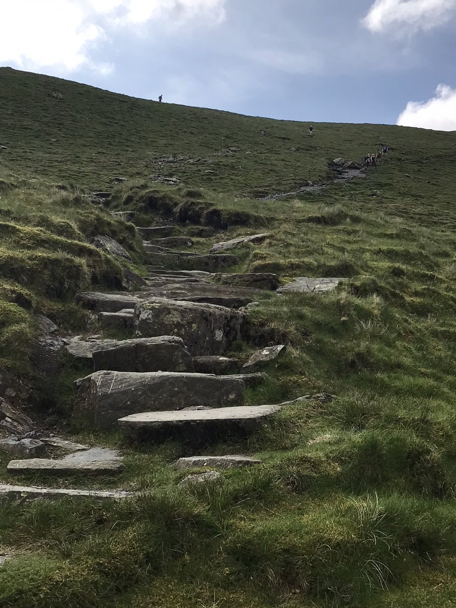 Luci Napleton tweet media