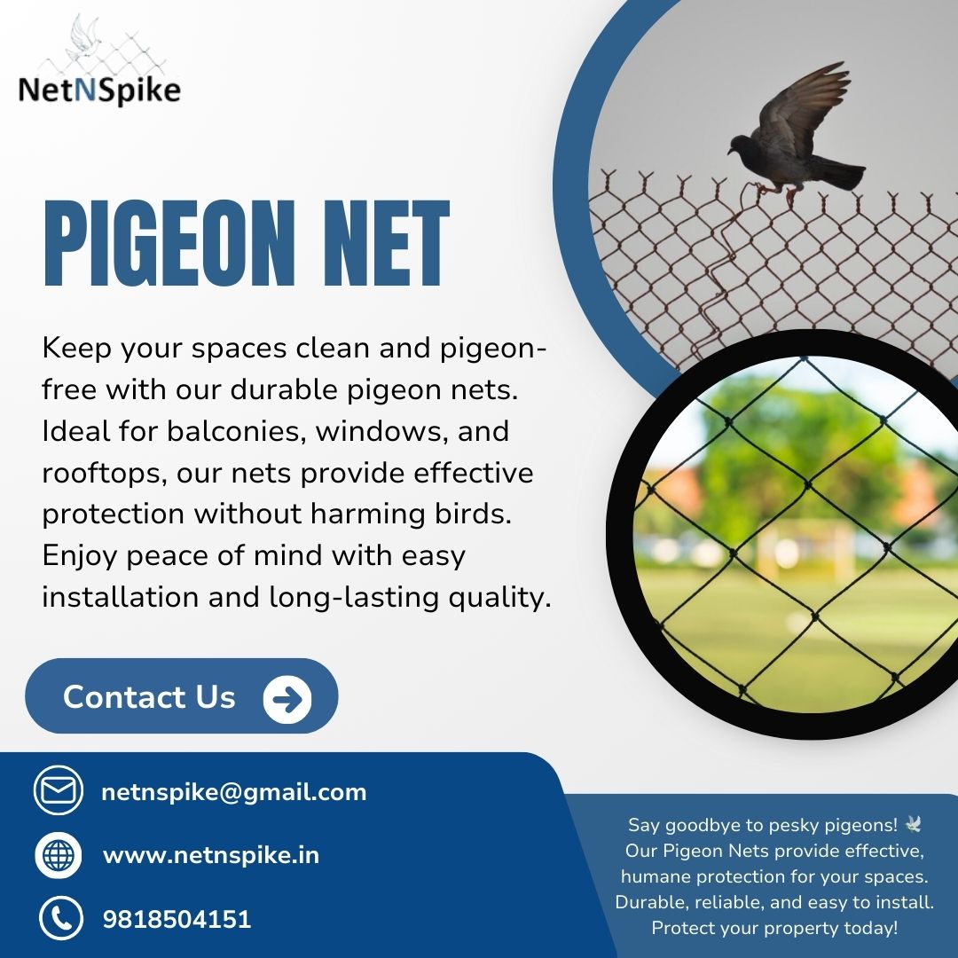 netnspike's tweet photo. Protect your home from pesky pigeons with our durable and reliable Pigeon Nets. Enjoy a clean, safe environment. Easy installation! Contact us now for more details. #PigeonNet #HomeSafety #Netnspike https://t.co/mSoYLqjVcO