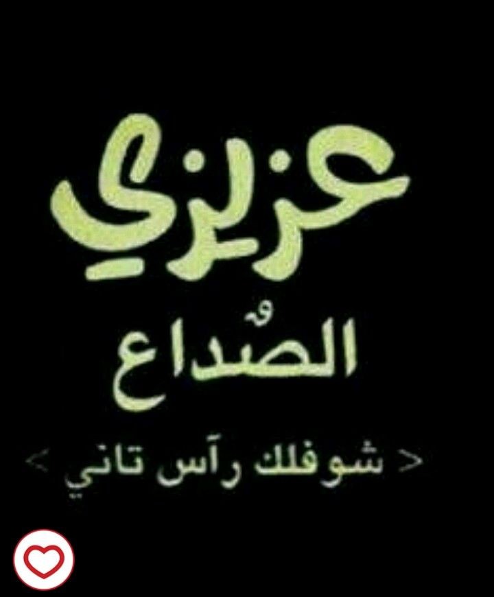 زهرة التوليب ⚘🇴🇲 tweet media
