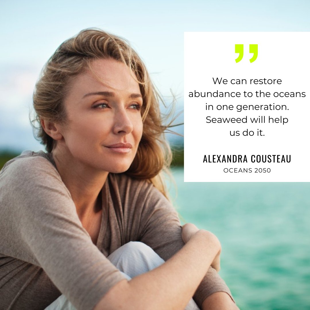 Happy World Oceans Day! Let's catalyze action for ocean and climate!

#biodiversity #ocean #seaweed