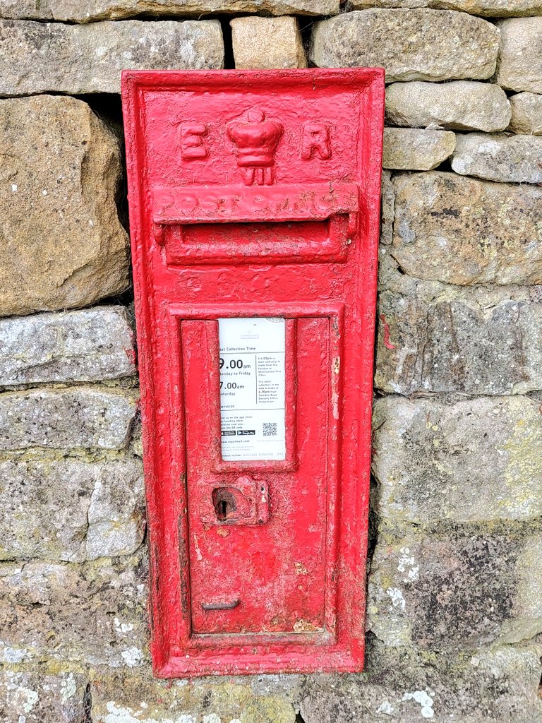 Catherine Polley tweet media