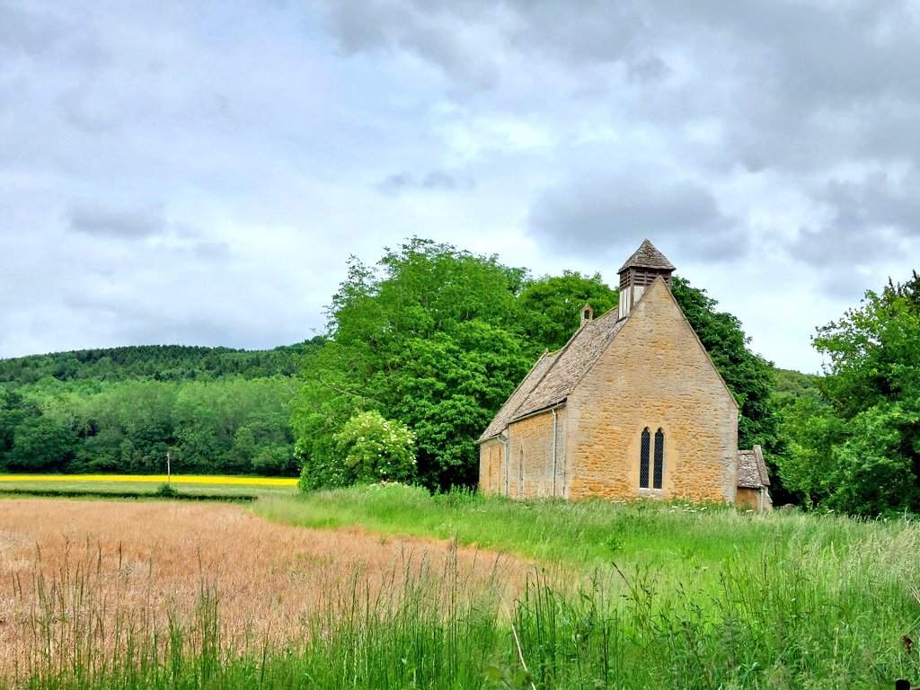 Catherine Polley tweet media