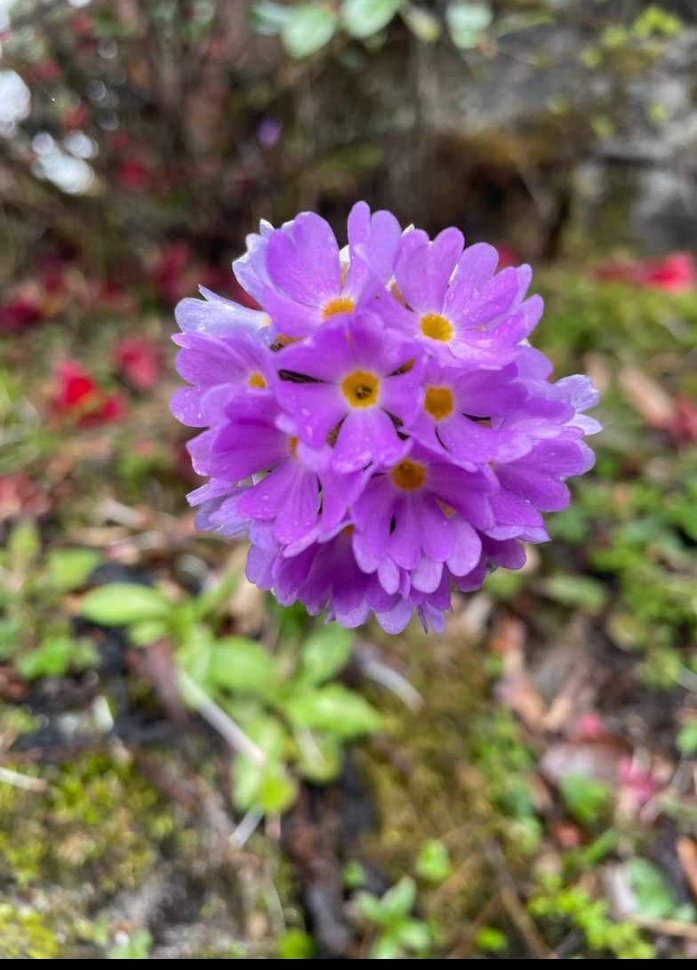 Have a nice day 
#haveaniceday
#nature