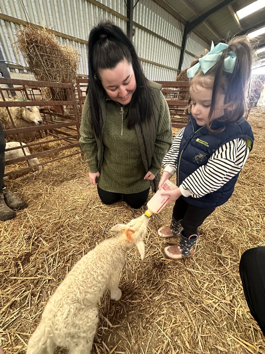 Sam Howells tweet media