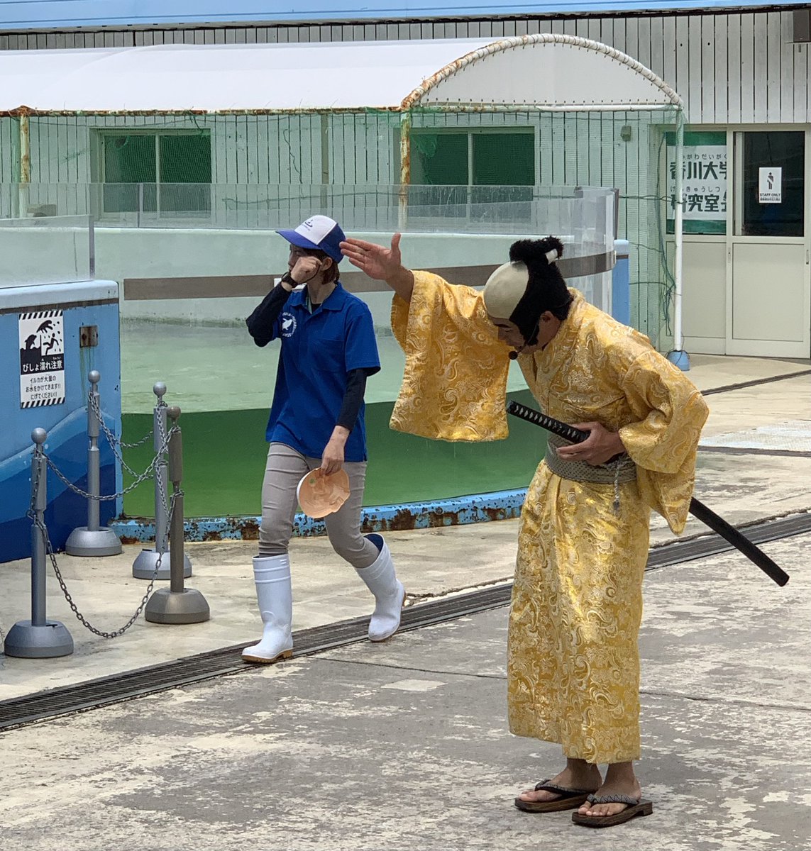 「その後水族館へ イルカショー、お侍さんが出てきてスタッフのお姉さん斬ったりラップ」|さがのひを 俺可愛続編連載中のイラスト