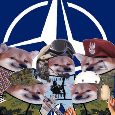 DeeLavMusic's tweet photo. How many #FELLAS do you think are in the #NAFO army? 
10,000, 50,000, 100,000??? ❤️🇺🇦❤️🇺🇦 https://t.co/STRYLyL8xU