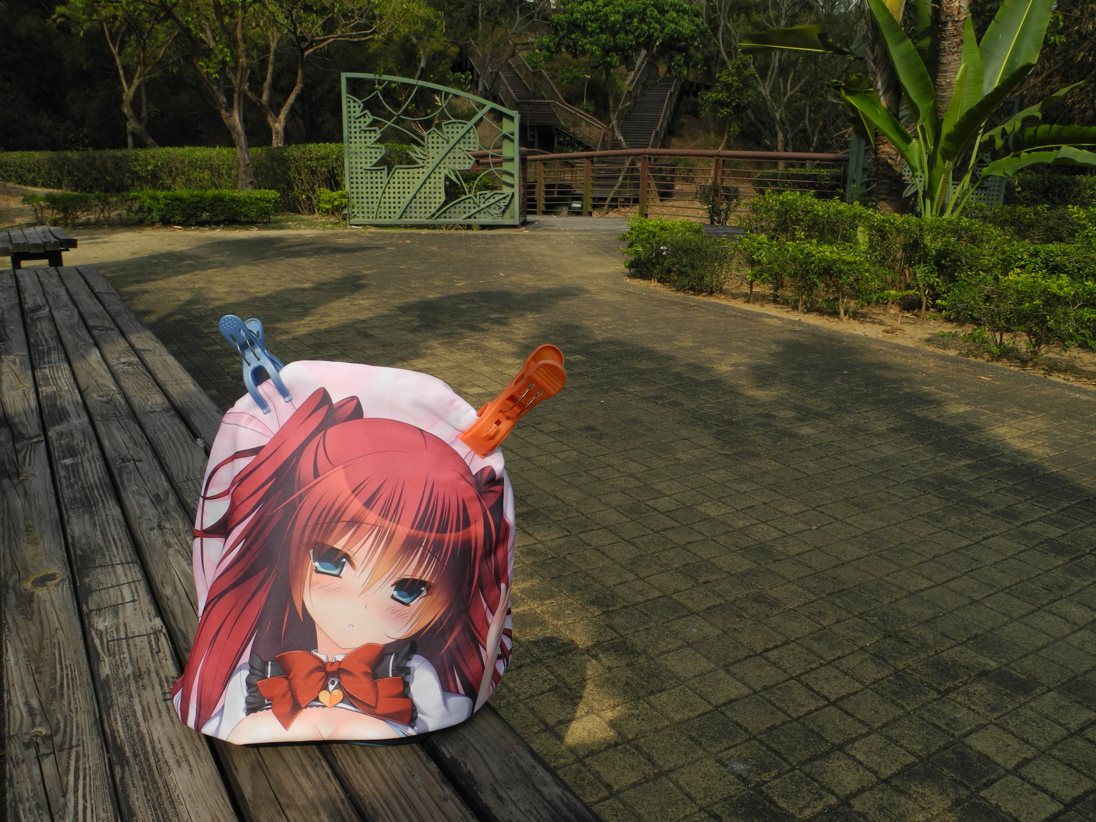 となりのガールフレンド　御苑生メイ　みなもと詩乃　直筆サイン となりのガールフレンド 御苑生メイ みなもと詩乃 直筆サイン となりの