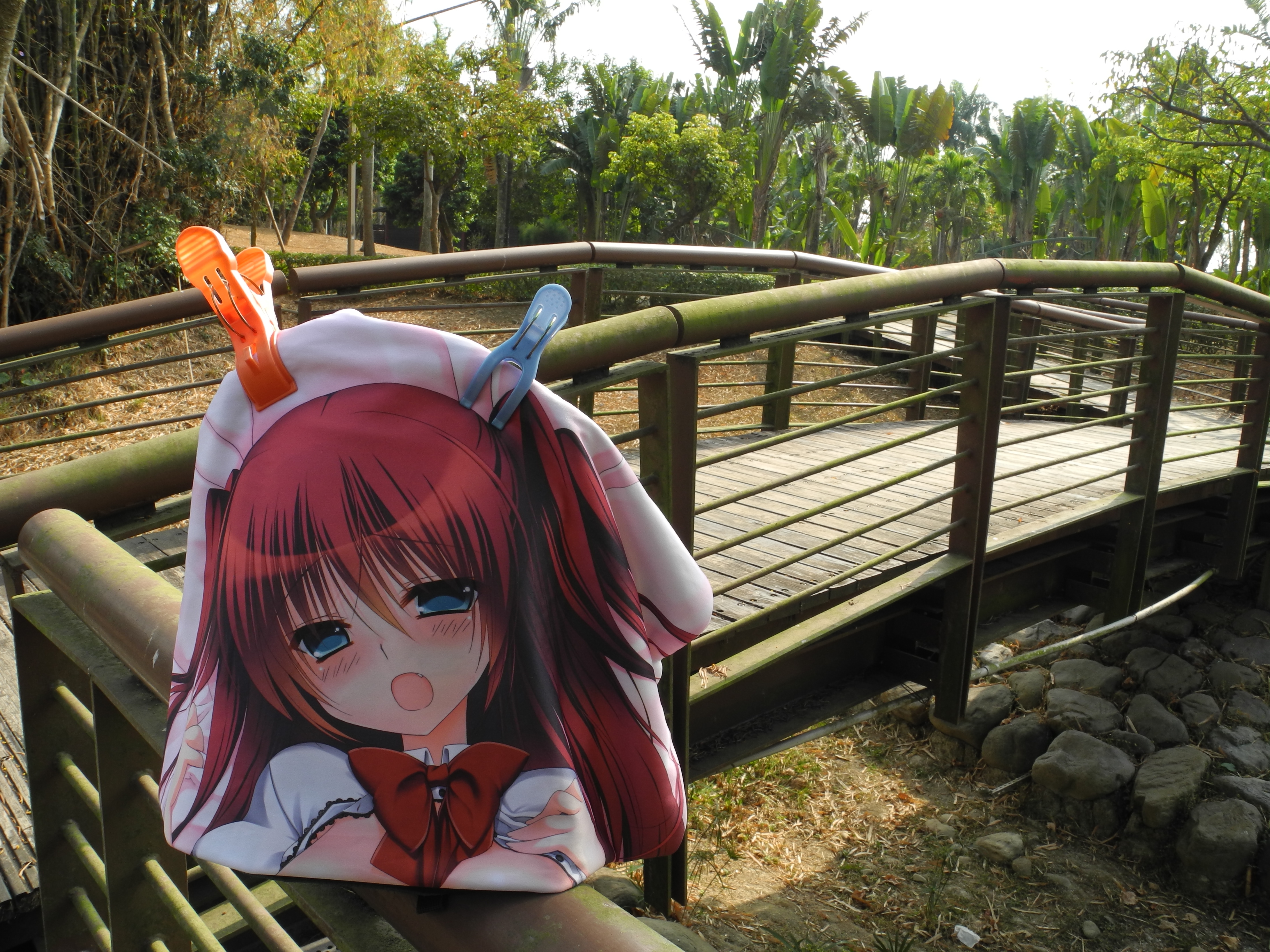 となりのガールフレンド御苑生メイみなもと詩乃直筆サイン