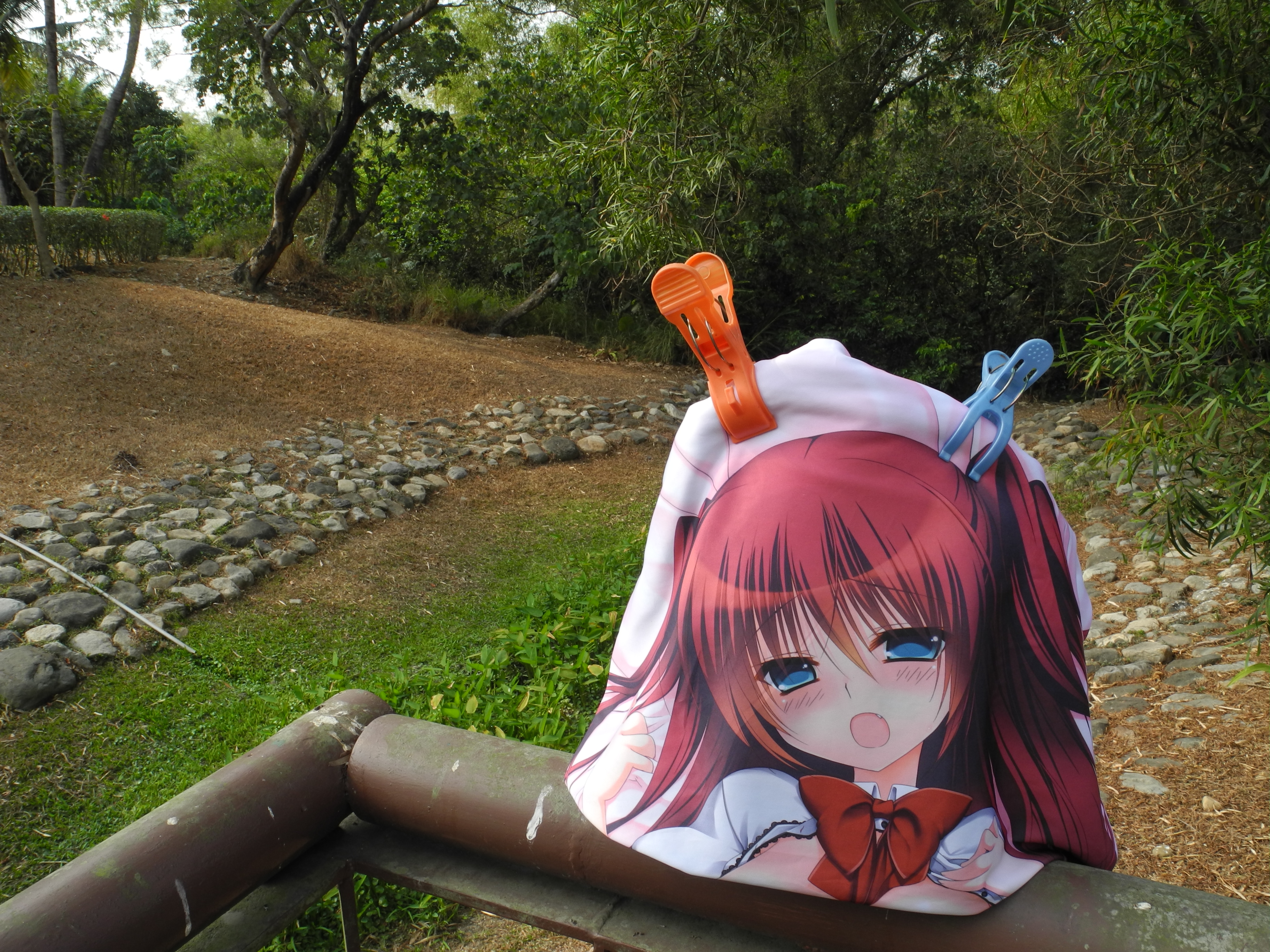 となりのガールフレンド御苑生メイみなもと詩乃直筆サイン