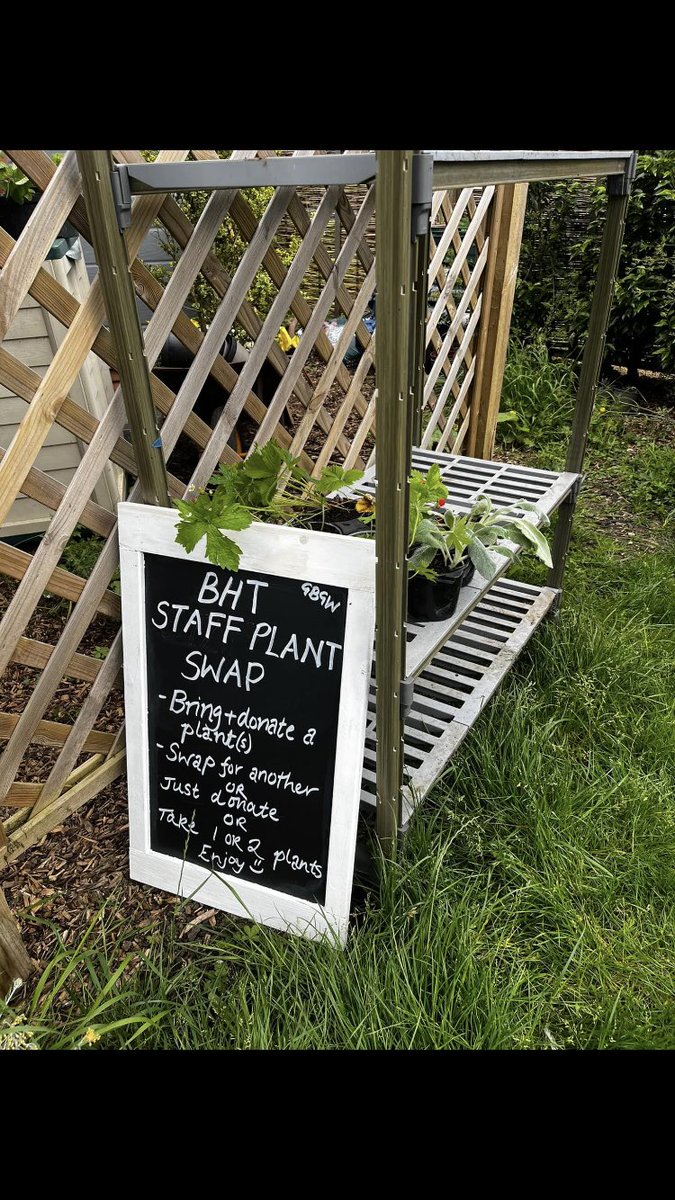 BHTQI's tweet photo. It’s Great Big Green Week @BucksHealthcare from Monday.  Look on CAKE in news and events for the activities including plant swap in our well-being garden and webinars on Climate Anxiety, Sustainable Diets and Food Growing Talk https://t.co/kTpT25V74Z