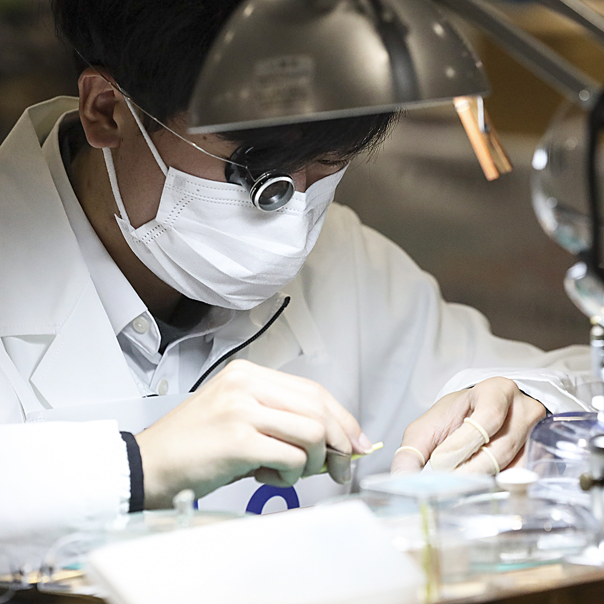 WorldskillsJ's tweet photo. 技能五輪全国大会「時計修理」職種!
ポイント①
時計修理では既製の部品がない場合、時計技能士自身で部品を作ることもあります
#WorldSkills #WorldSkillsJapan #技能五輪全国大会 #NationalSkills #時計修理 #WatchRepairing https://t.co/CZOleFGbEf