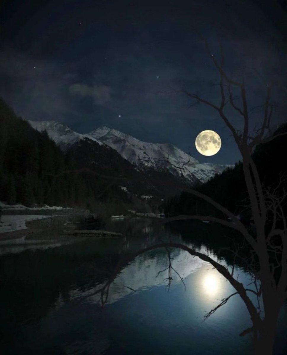 M1ONLOVER's tweet photo. Full Moon and nature. https://t.co/vkAnsIqZZR