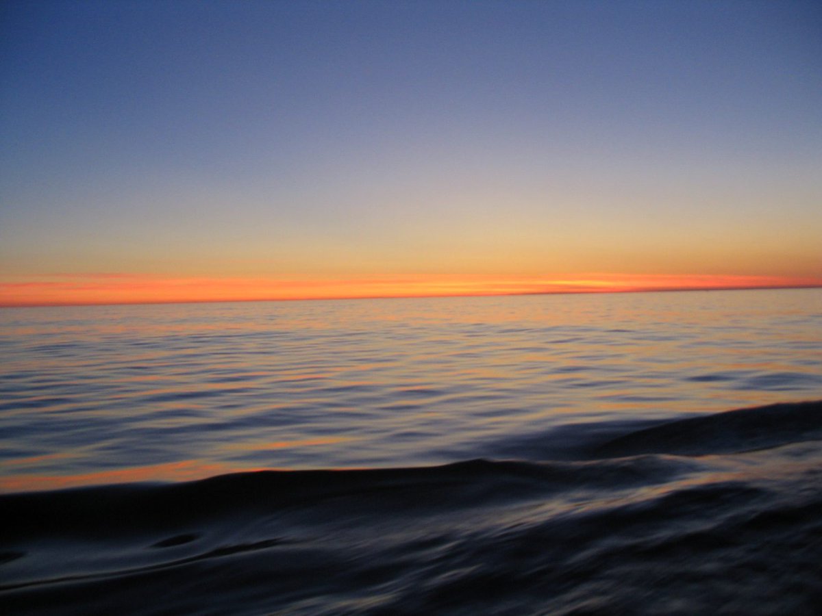 Babette Hoogakker tweet media