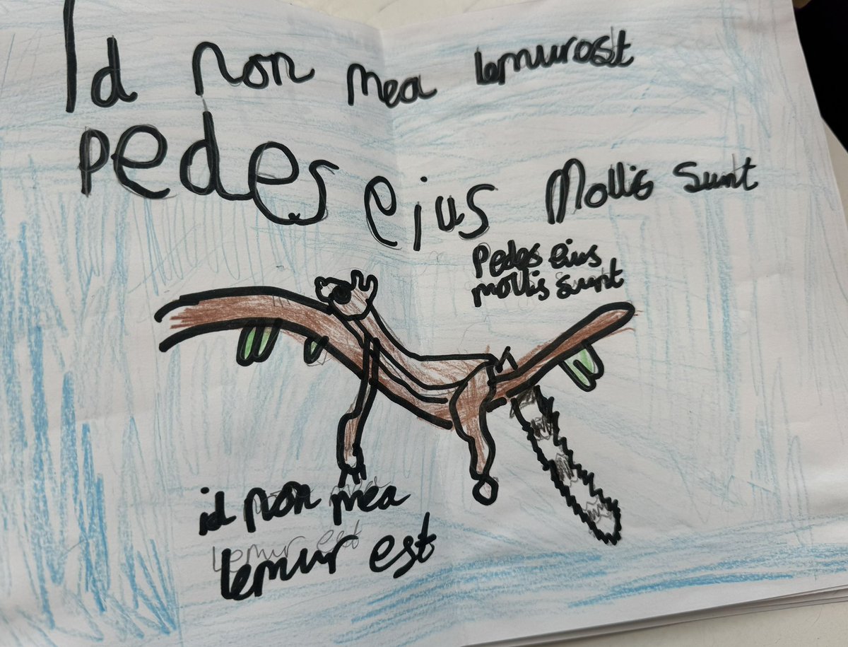 QueensCofE's tweet photo. Years 3 and 4 made ‘That’s not my…..’ books including the textures and bright colours and we love the end result. 🤩#latin #art #books @Miss_BBradshaw @misskthomas_ @MrKidd93 https://t.co/drtS0Aj3c4