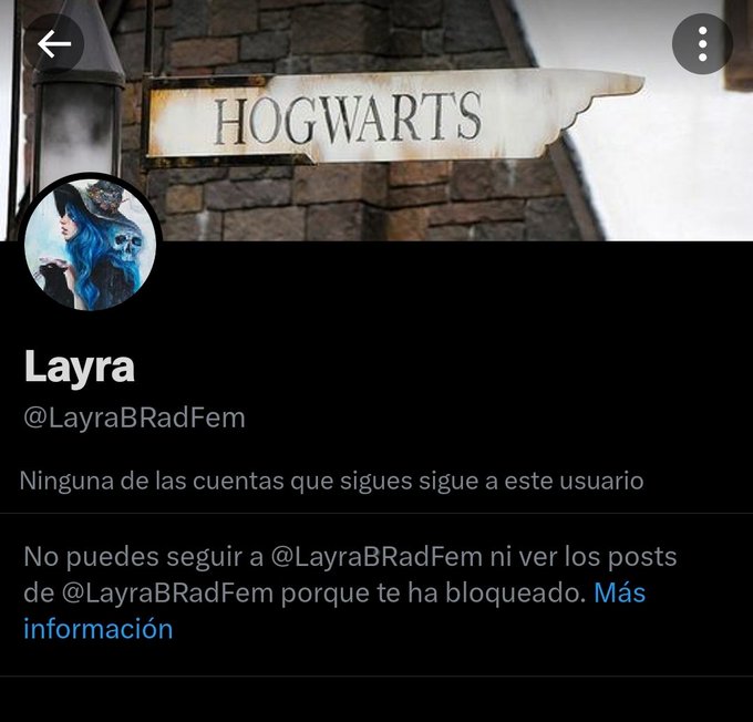 Yo pens&eacute; que me hab&iacute;a bloqueado porque hab&iacute;a soltado algo m&iacute;nimamente ofensivo y no, simplemente es que