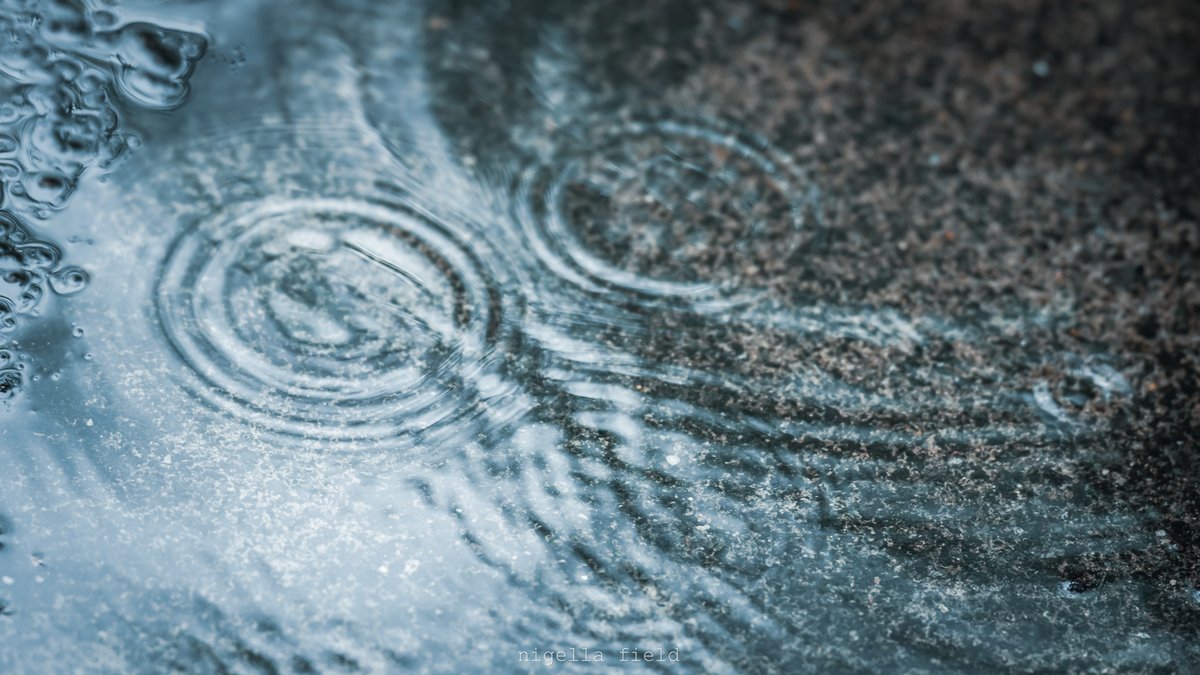 こぼれる花と、記憶の遺失物