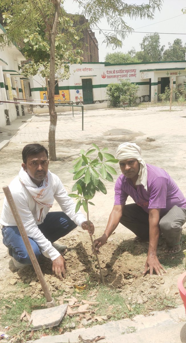 चलो आज इस जमीं को फिर से जन्नत बनाते हैं,
 रोज न सही आज तो दो चार पौधे लगाते हैं।
🌳🌴🌷🌴🌳