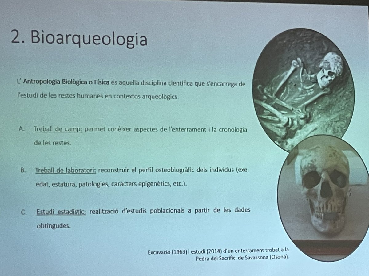 Answer Detectives tweet media