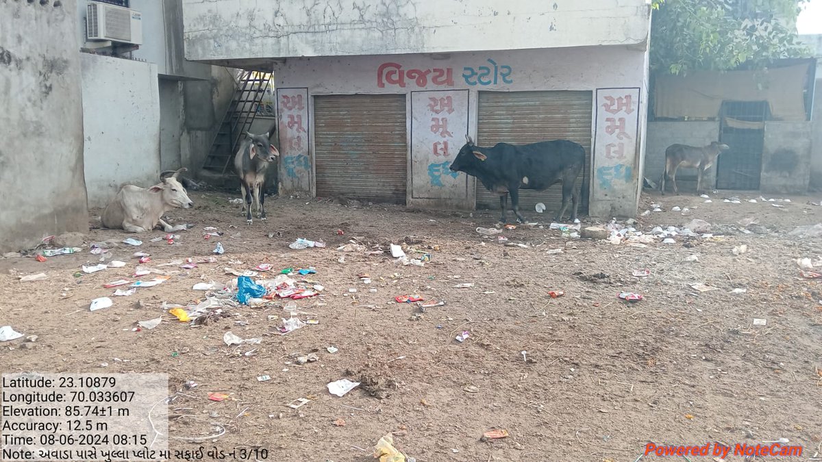AnjarNp's tweet photo. નિર્મળ ગુજરાત ૨.૦ અંતર્ગત "સ્વચ્છતા પખવાડીયા"ની ઉજવણીના ભાગરૂપે આજરોજ અંજાર નગરપાલિકા દ્વારા શહેરી વિસ્તારમાં આવેલ ખુલ્લાં પ્લોટ અને સ્લમ વિસ્તારમાં સફાઈ ઝુંબેશ હાથ ધરવામાં આવેલ.
@sbmugujarat
@RajkotRegional 
#SwachhSurvekshan2024 
#NirmalGujarat2 https://t.co/uRyTWDEgIQ