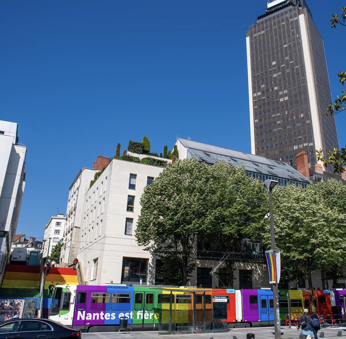 HES_France's tweet photo. Aujourd’hui, nous marchons pour nos droits avec nos groupes locaux à Nantes, Toulouse, Lyon. Belles marches des fiertés à toutes et tous ! 🏳️‍🌈🏳️‍⚧️✨@HES_Lyon @HesNantes @hirigoyen_herve https://t.co/gRydfoHDqd