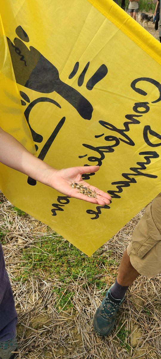 ConfPaysanne's tweet photo. #A69 : des semis pour continuer l'agriculture sur les terres, pas du bitume ! Action de semis en cours pour les paysannes et paysans de la @ConfPaysanne réunis à Puylaurens dans le #Tarn. STOP à ce projet d'autoroute qui va artificialiser plus de 400 hectares de terres agricoles. https://t.co/ofompW1pIL