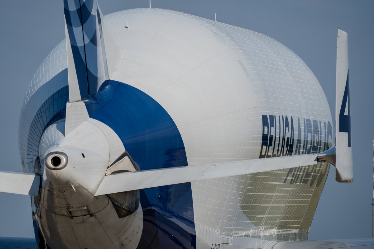 Airbus's tweet photo. Guess who's making a splash at #ILA24 Berlin Air Show! 🇩🇪

Say hello to our beloved “baby” #Beluga. 🐋 Featuring one of the most voluminous cargo holds flying today, the Airbus #BelugaST offers a unique way to transport oversized air cargo all over the world 🌏

See for yourself, she’ll be with us all weekend!