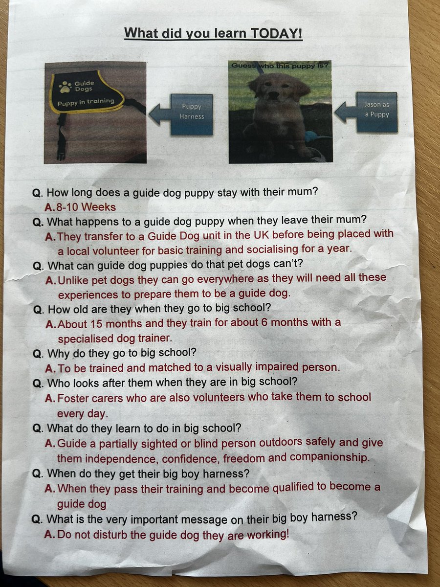 tonyrywenschool's tweet photo. These were some interesting facts that we all learnt about the Guide dogs too. https://t.co/fSZjtiBMlN
