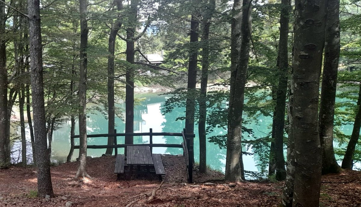 Parco dell'Aveto tweet media
