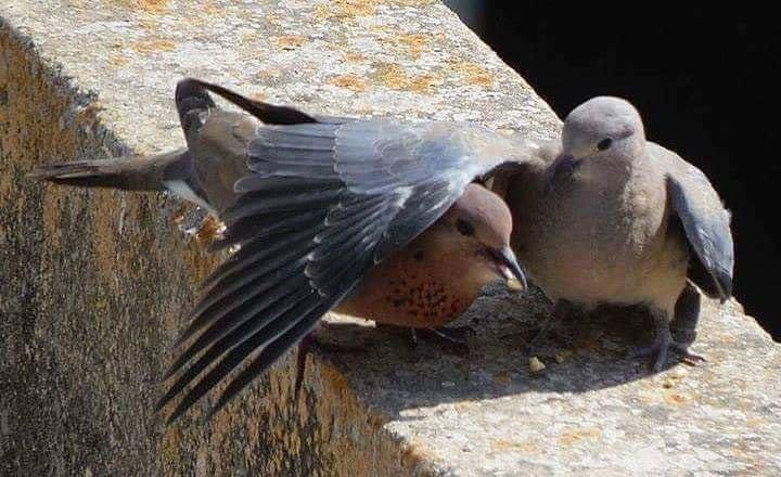 " جاور من يؤمنون بوجودك ، من يعطونك قيمتك ،
من يُعززون من قدرك ، من يخلقون ألف سبباً للحديث معك ، ومن يغزلون خيوط الود من أجلك ."
