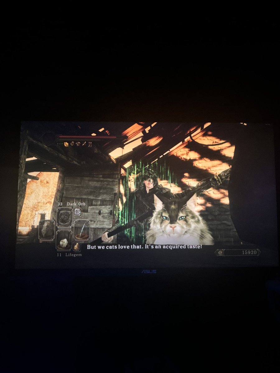 scumf4ck's tweet photo. i love ds2 cat https://t.co/nkRUgTRrpP