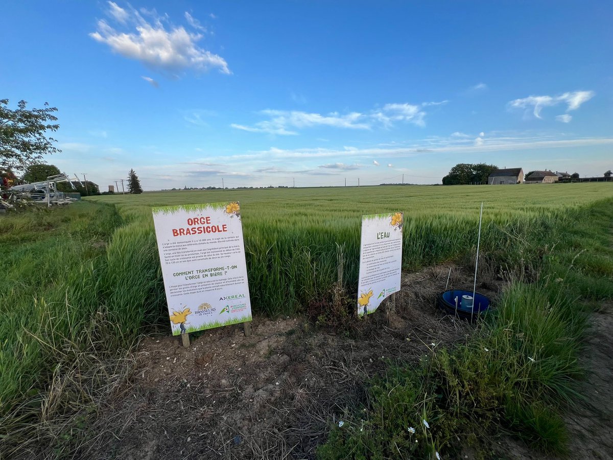 Dans le Loir-et-Cher, l’agriculteur Baptiste Menon, qui produit notamment du blé dur pour <a href="/Panzani/">Panzani</a>, vous ouvre les portes de son exploitation à l’occasion des #JNAgri.