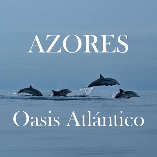 Ruben_micro's tweet image. Hoy es el Día Mundial de los Océanos. Aquí un regalo en forma de documental producido por @dcdocumentaries y dirigido por el biólogo marino Danko Castaño.
Disfrutadlo!
caixaforumplus.org/v/azores-oasis…
@Science_Image 
@CaixaForum 
@ICMCSIC