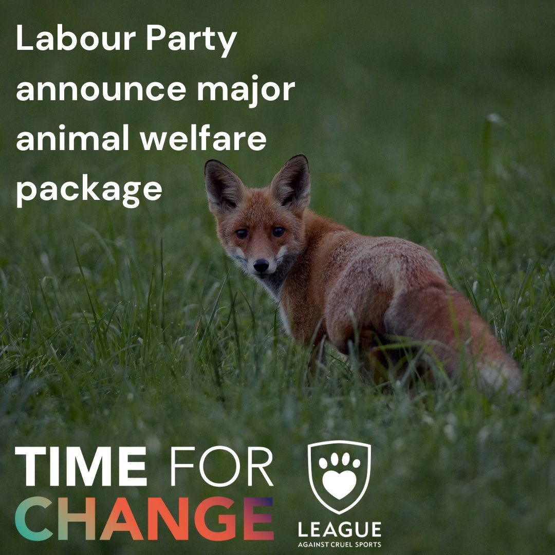 LeagueACS's tweet photo. Last night, the Labour Party announced an animal welfare package, including legislation to protect Britain’s most loved animals and end animal cruelty, should they form the next government.

They will: https://t.co/iU4wslGeHj