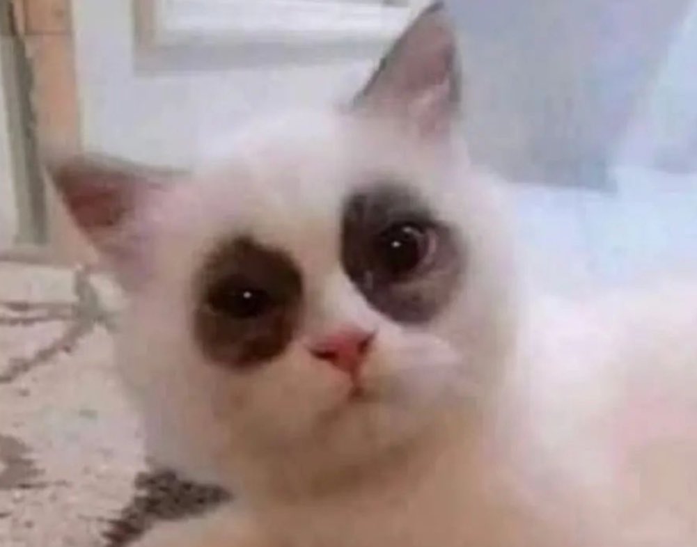 Nem de exatas e nem de humanas, eu sou de cansadas

bom dia