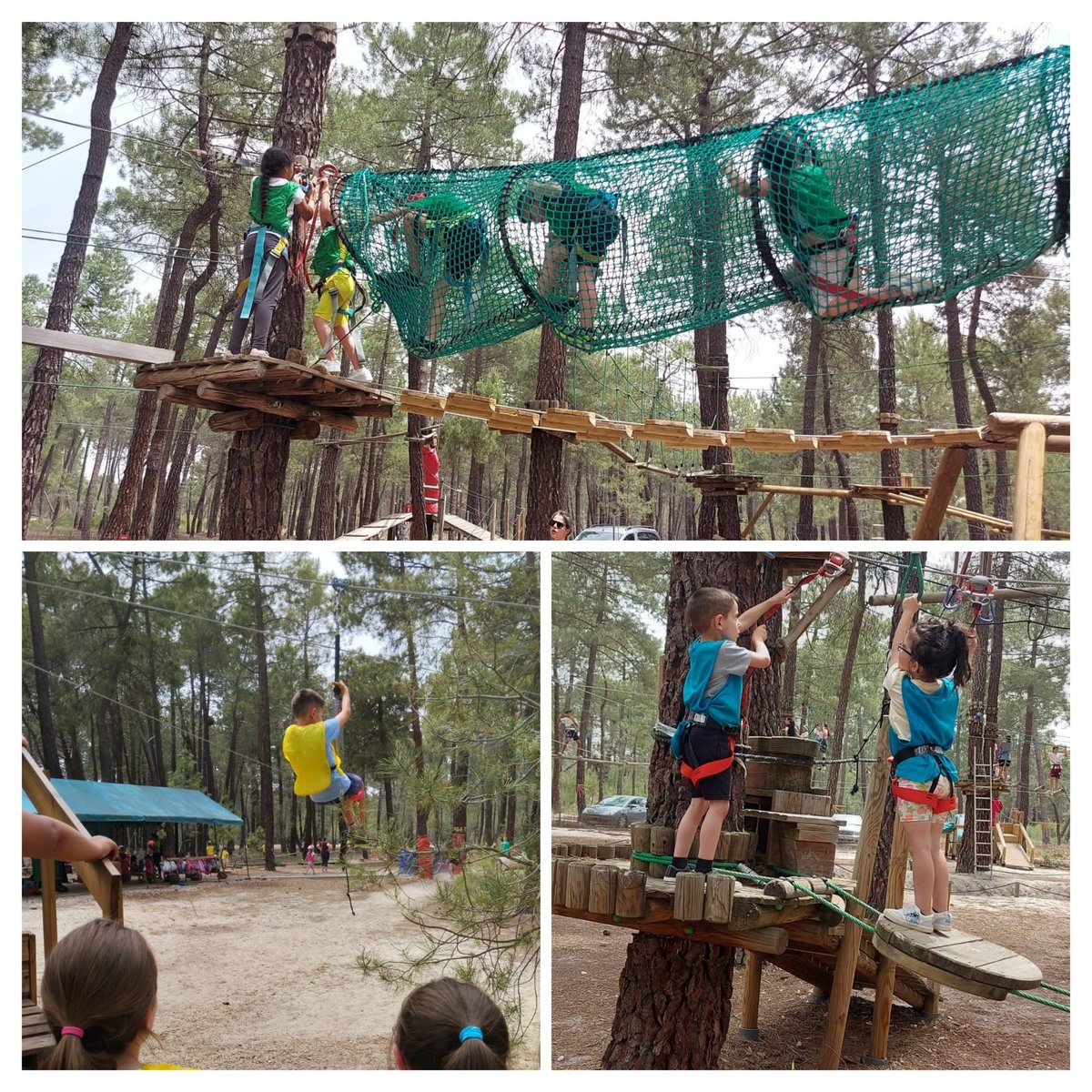 CEIP N.S. del Duero tweet media