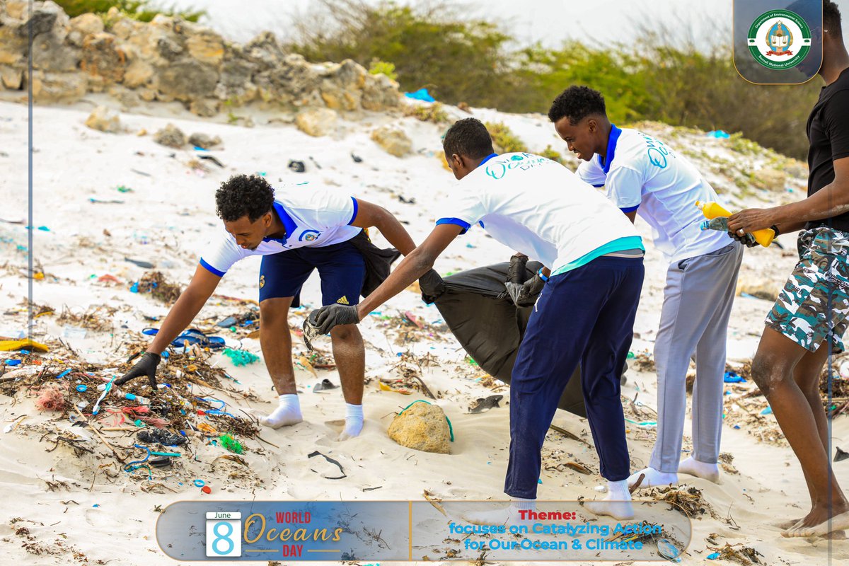 EnvsSNU's tweet photo. The department organized a beach cleanup event at Jaziiro Beach to celebrate #WorldOceanDay. Students and teachers participated in the cleanup effort, collecting trash and debris to help protect the local marine environment.#SaveOurOceans https://t.co/KAKl4q96Uf