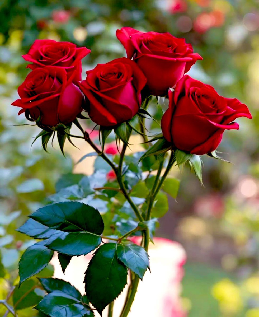 tarq33333's tweet photo. "عشر ذي الحجة ؛ قد تغيّر حياة إنسان تمامًا، اللهمّ تقبل
محاولاتنا، واغفر زلاتنا، واجعلنا على أحسن حالٍ تحبّه"♥️..
#عشر_ذو_الحجة 
#مملكة_طارق_للدعم https://t.co/uZfKGcQABp