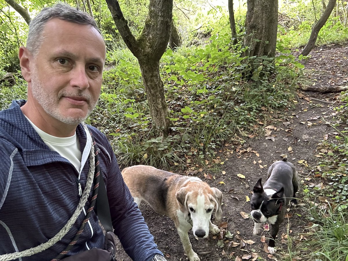 Spencer Pitts (@spoinster) on Twitter photo Simple Saturday summer pleasures, woodland walkies with doggies!
<a href="/sdnpa/">South Downs National Park</a> Simple Saturday summer pleasures, woodland walkies with doggies!
<a href="/sdnpa/">South Downs National Park</a>