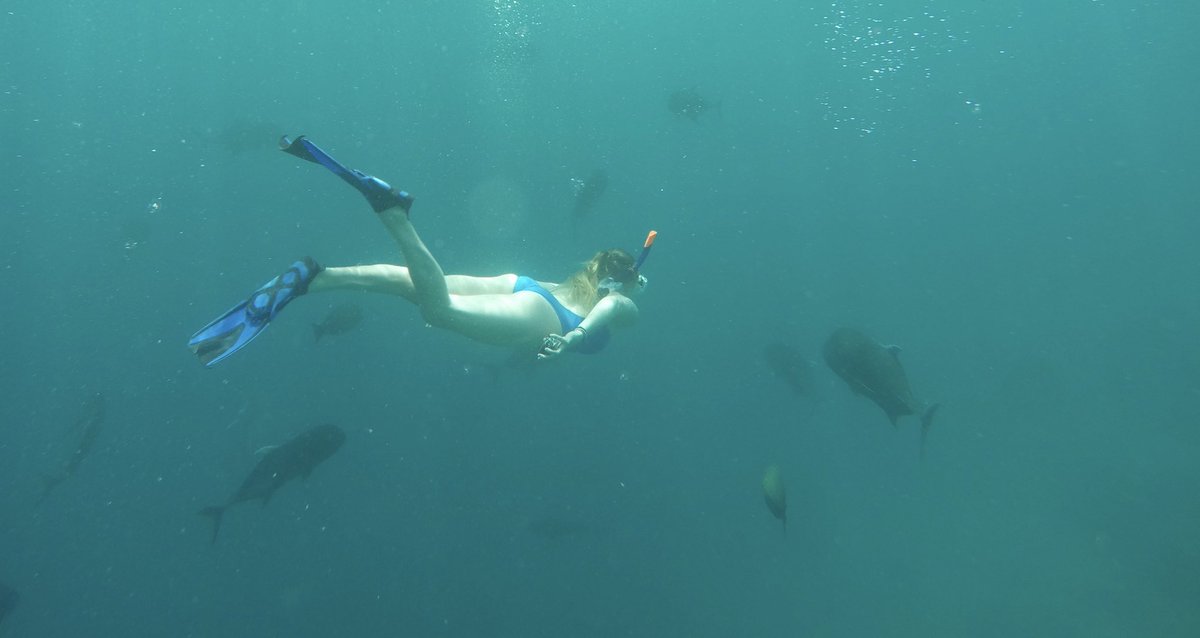 Happy #worldoceanday everyone! 🌊

This year’s theme is ‘Catalysing Action for Our Ocean and Climate’, so why not share what action(s) you’re taking for the ocean and/or what action we need &amp; why  ⬇️