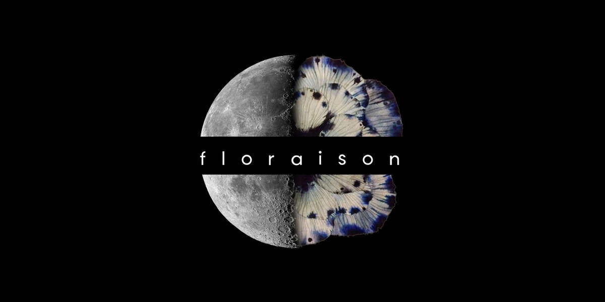 Алекс🪐⁷ ⊙⊝⊜ tweet media