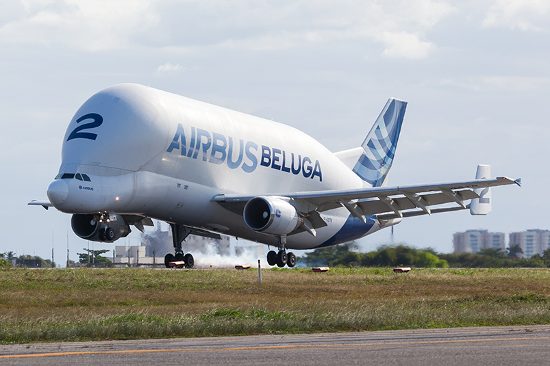 civil_avi's tweet photo. "الطفل" #بيلوجا  🐋 من #ايرباص تتميز طائرة Airbus #BelugaST بوا��دة من أكبر طائرات الشحن اليوم، وتوفر طريقة فريدة لنقل البضائع الجوية كبيرة الحجم في جميع أنحاء العالم 🌏 https://t.co/lOrnc5JTlJ