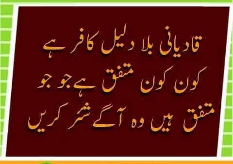 ہم نے یہ عزم کیا ہے کہ گھر گھر شھر شھر بچوں اور بڑوں تک یہ پیغام پہنچائیں گے کہ قادیانی دنیا کا بدترین و غلیظ ترین کافر و مرتد زندیق ہے۔