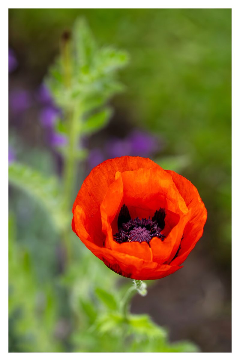 Brian Crosby tweet media