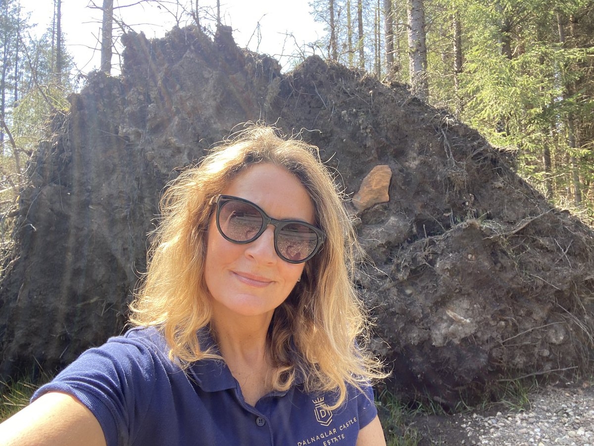 AnnaDevine1's tweet photo. Climate protesters! Every time I drive by these huge roots at Dalnaglar in Glenshee, I feel like the trees are making a point. https://t.co/Eb9iuFJb14