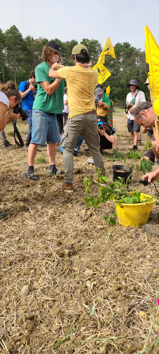 ConfPaysanne's tweet photo. 👉#A69 : la propriétaire du terrain où nous semons ce matin sera fortement impacté, si l'autoroute est construite. La plantation de haies matérialise les terres agricoles qui disparaîtraient. Soit plus de 90 fermes impactées. #STOPA69
@LaVoieEstLibre
@lessoulevements
@GNSA_arbres https://t.co/rix0PgbSbe