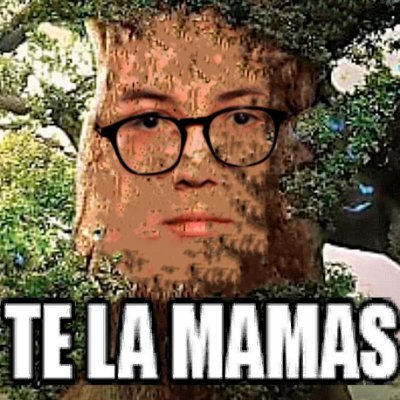 DANIKONGI tweet media