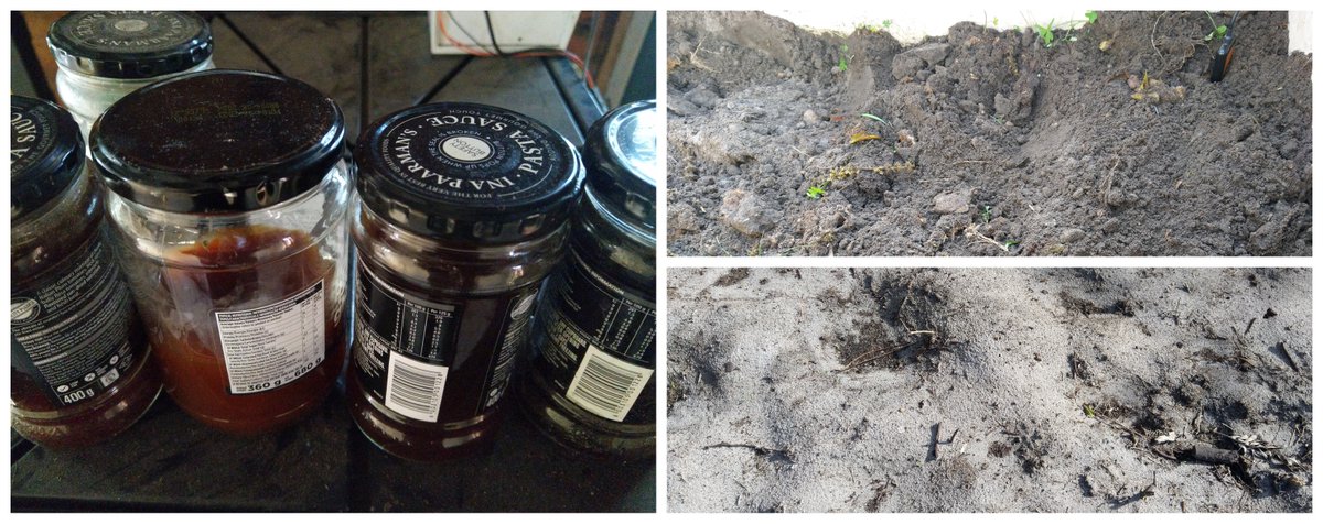 adpead's tweet photo. Liquid gold! Transforming useless dead soil into plant happiness with a little help from tech. Also wasting less and sending less to land fills. 😍 #soilscience #iot #iotforgood #homefarm #sustainability #zerolandfill https://t.co/Ho6XgEIfBr